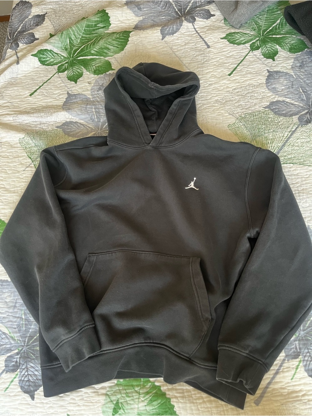 Jordan pull over hoodie
